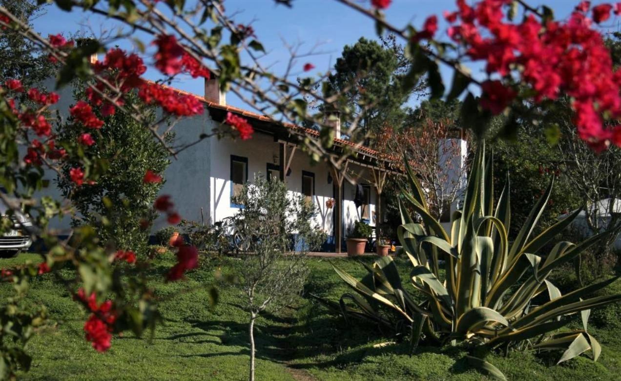 Monte Da Choca Pensionat São Teotónio Exteriör bild